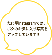 たに平Instagramでは、ボクのお気に入り写真をアップしています!!